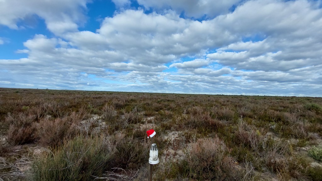 ECR or ?? What’s in a label anyway?